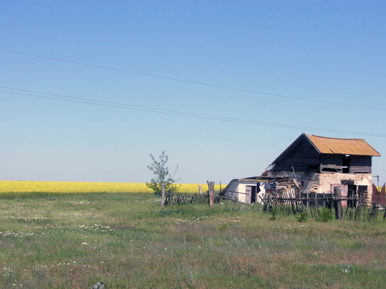 _P5080464.jpg