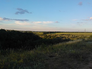 WP_000363.jpg