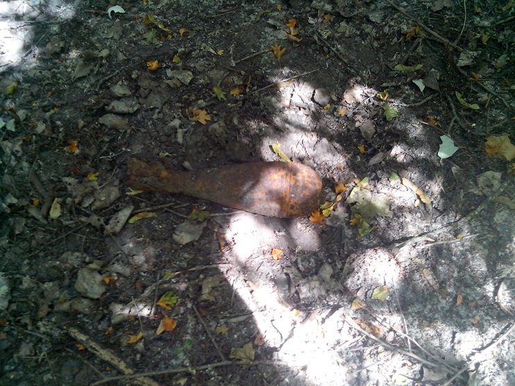 IMG_20130623_132758.jpg
