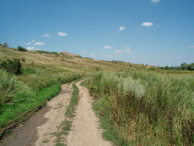 P7243587.jpg