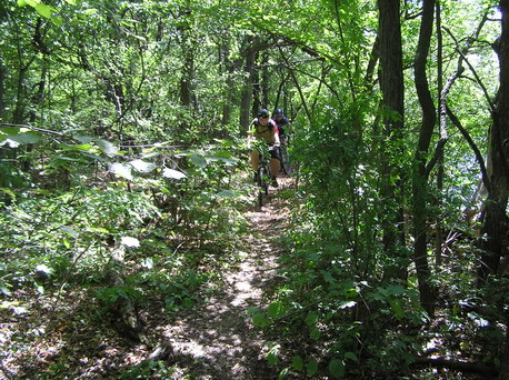 P1010041_resize.JPG