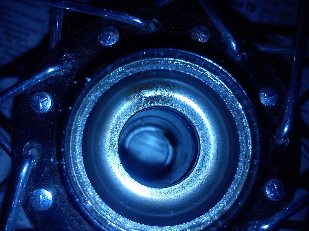 DSC_0208.jpg