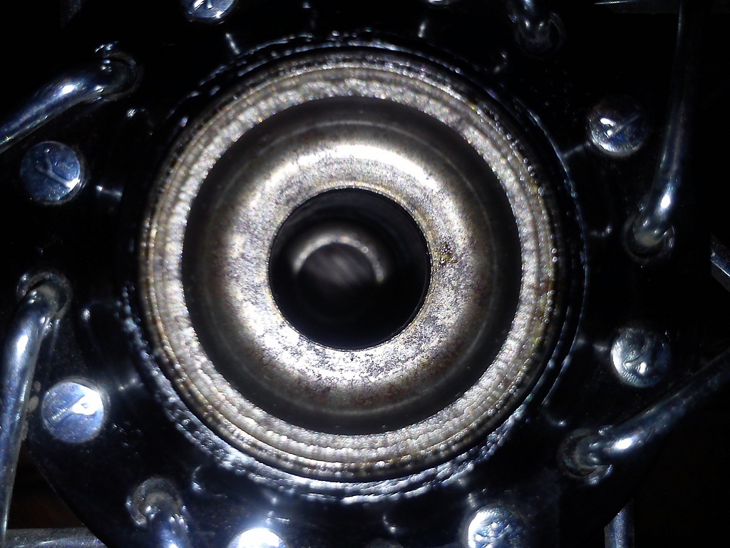DSC_0213.jpg