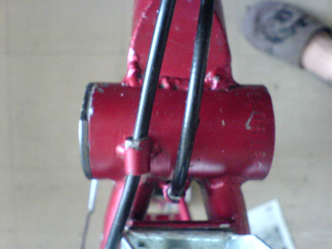 DSC06839.JPG
