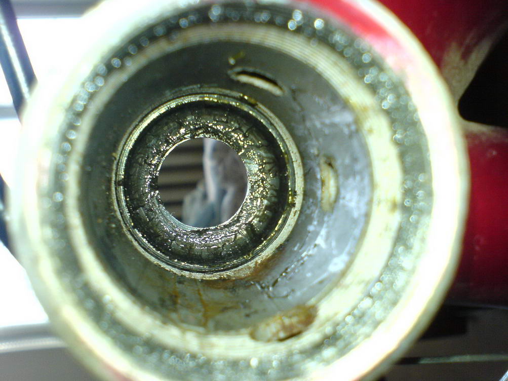 DSC06840.JPG