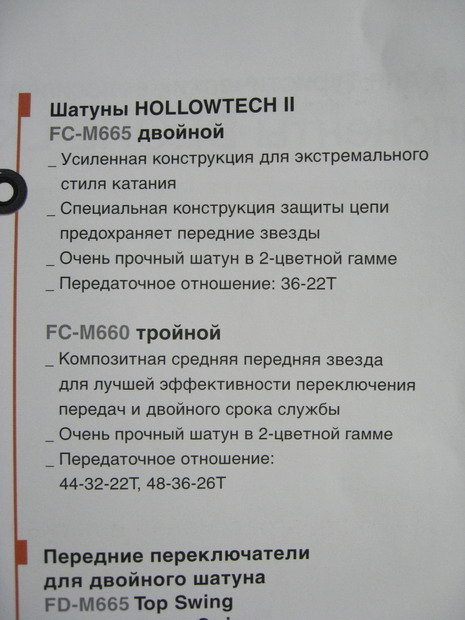 IMG_2382_resize.JPG