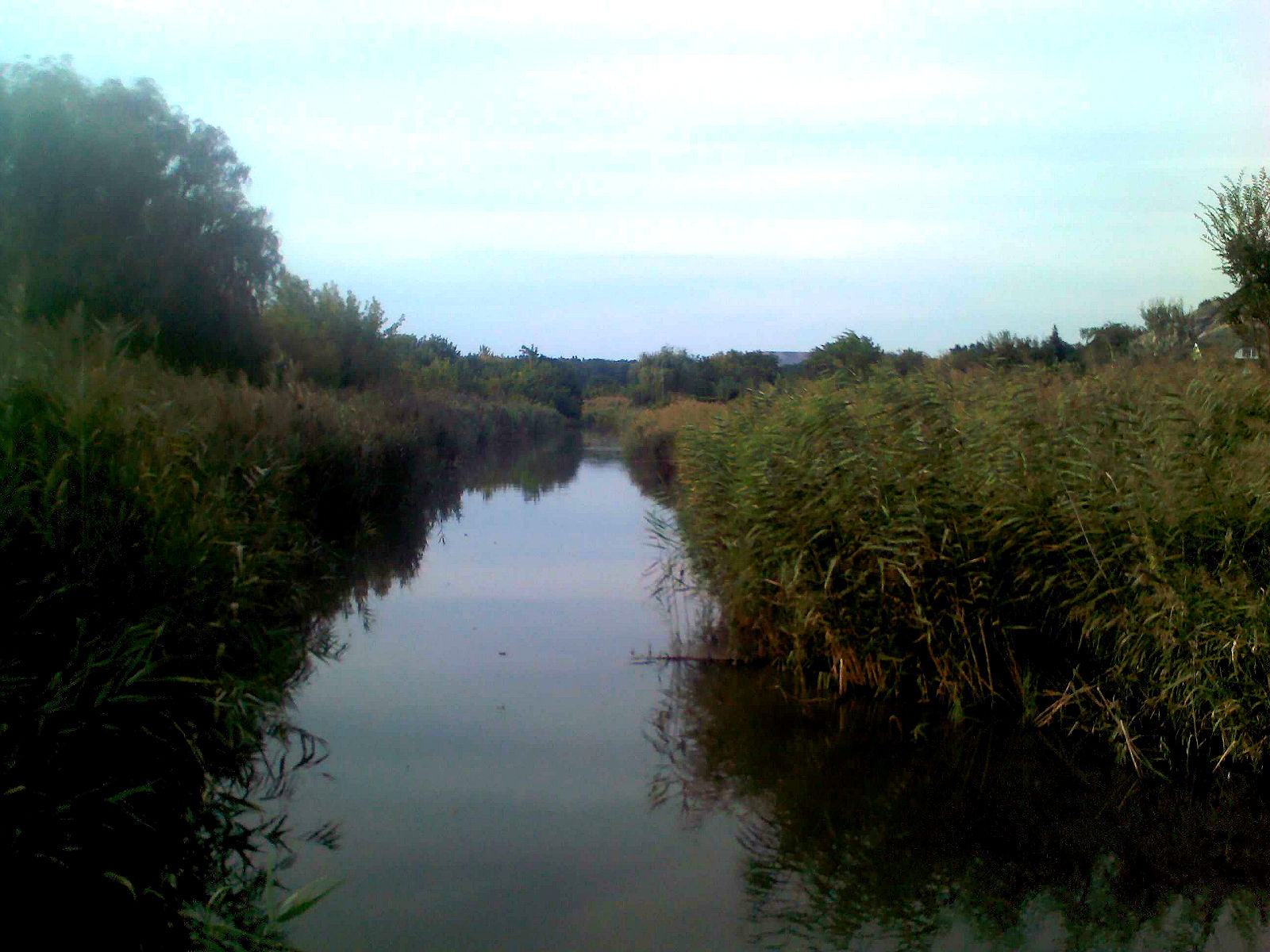 IMG072.jpg