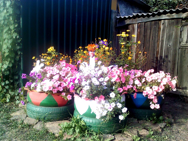 IMG075.jpg