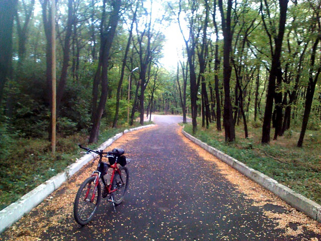 IMG080.jpg