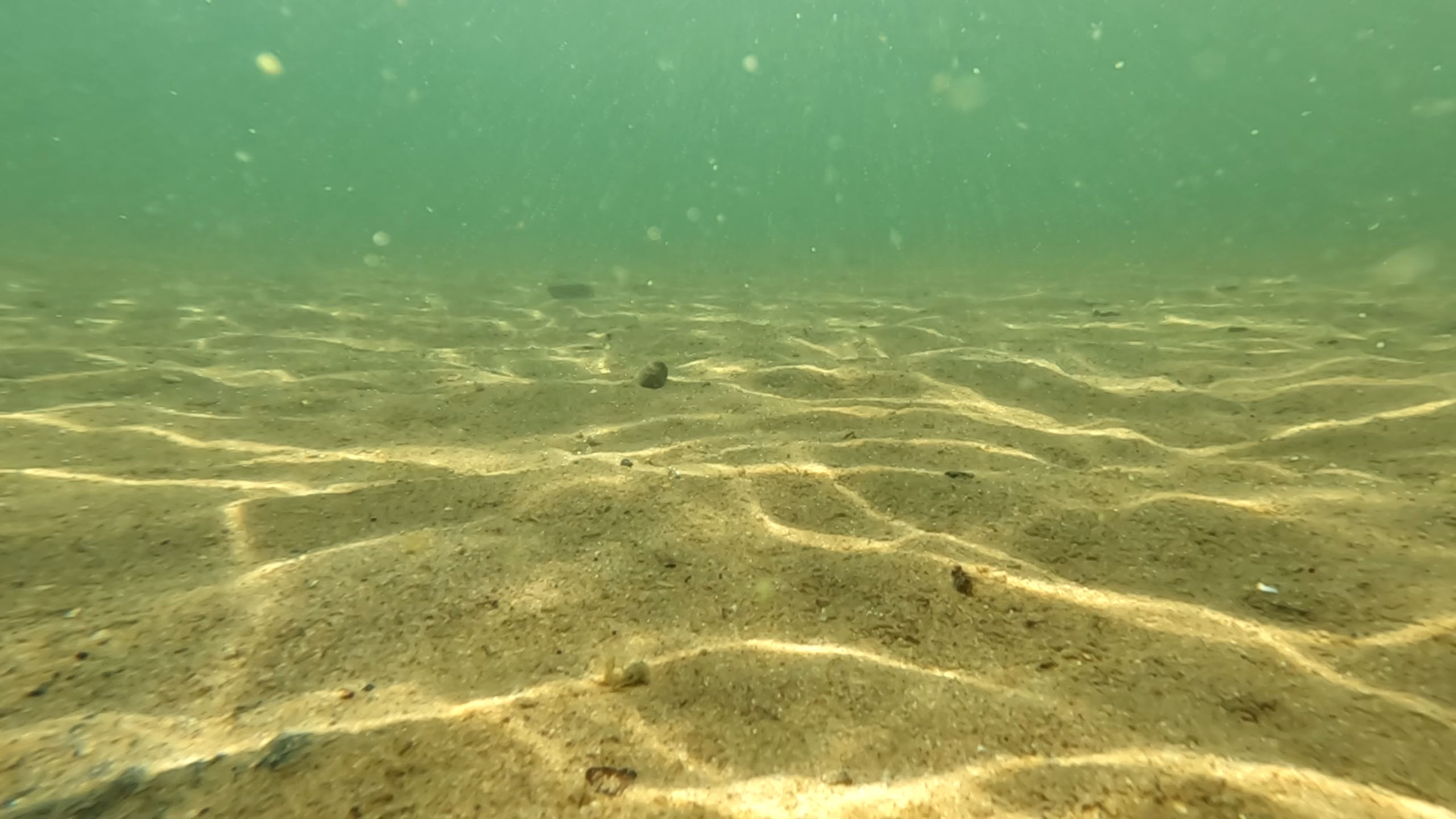 underwater-1-sm.jpg