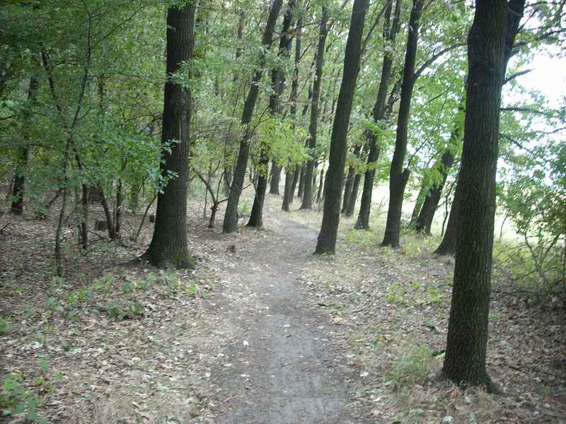 DSCN0459.JPG