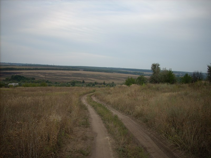 DSCN0463.JPG