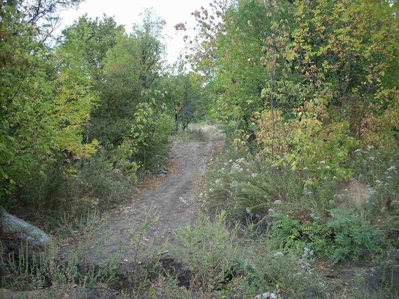DSCN0452.JPG