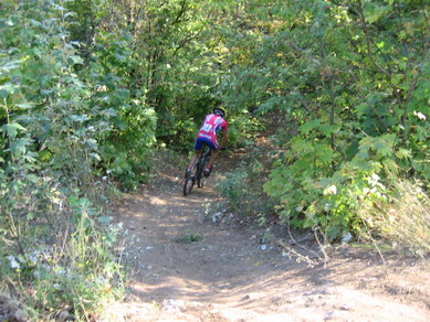 IMG_3289_resize.JPG