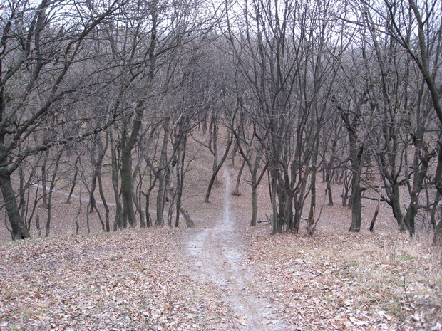 IMG_3690_resize.JPG