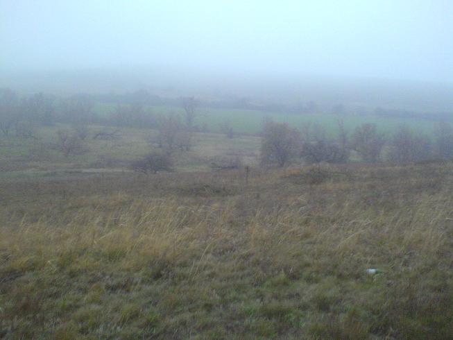DSC00849.JPG