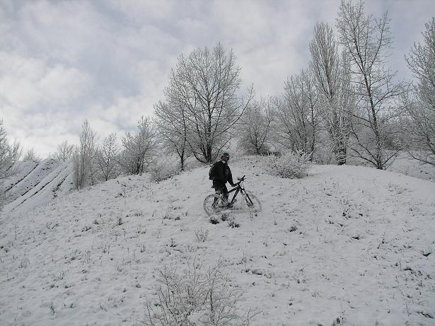 100_44468.JPG