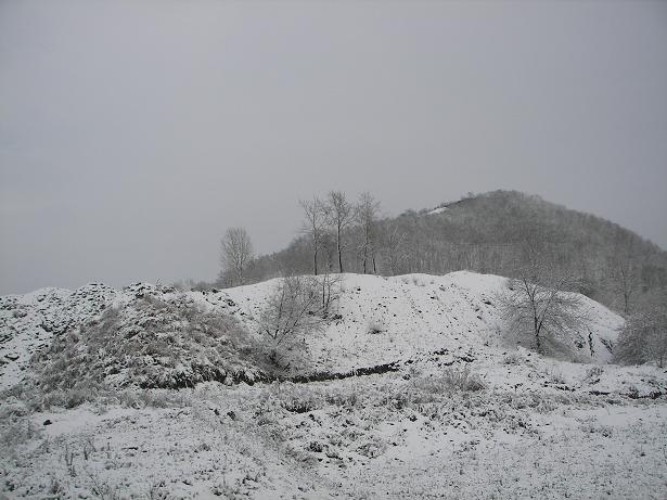 100_44436.JPG