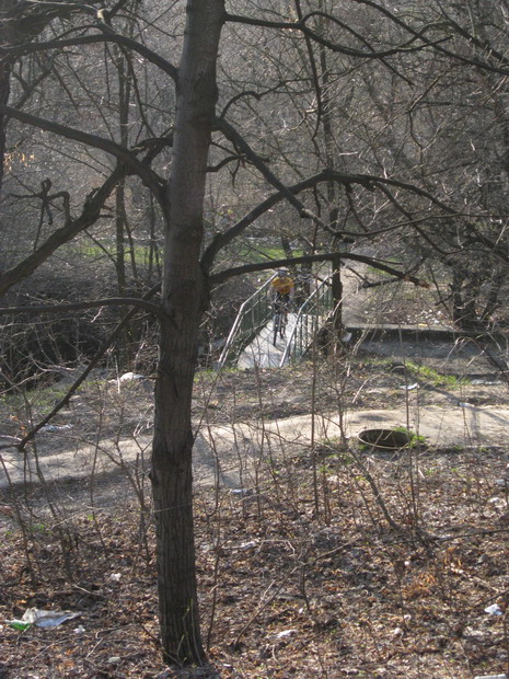 IMG_4532_resize.JPG