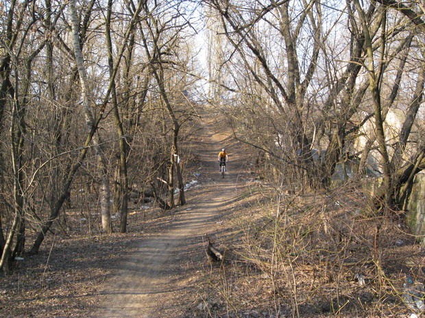IMG_4530_resize.JPG
