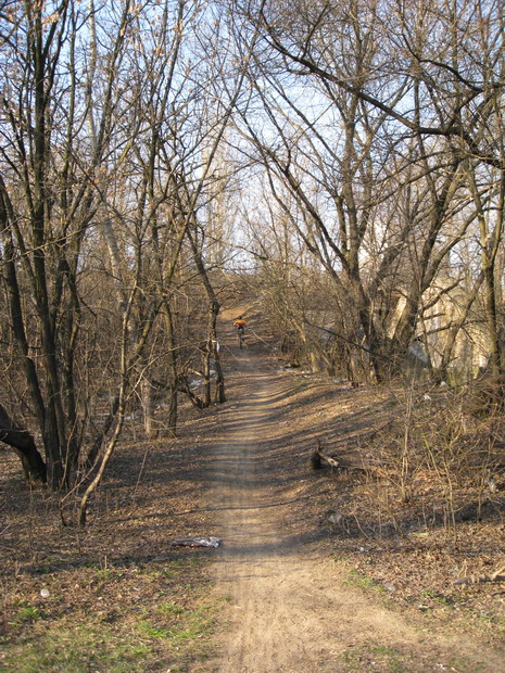 IMG_4529_resize.JPG