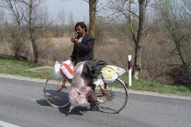 romania_7.jpg