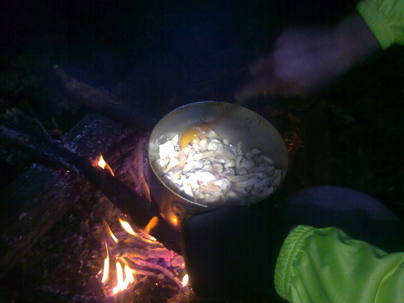 24042009040.jpg