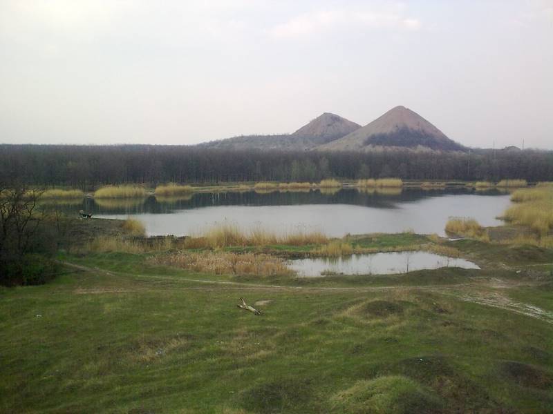 09.jpg