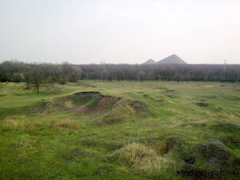 07.jpg