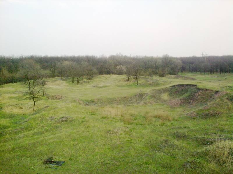 17.jpg