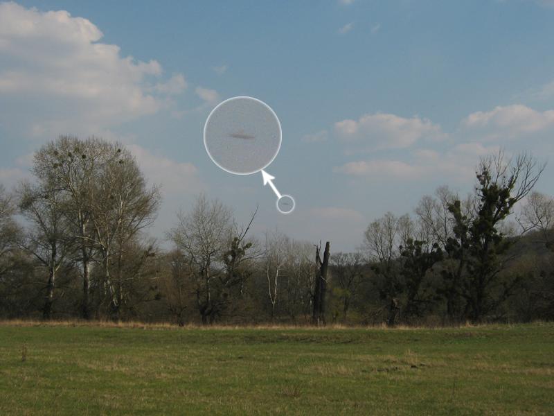 IMG_3699_resize.jpg