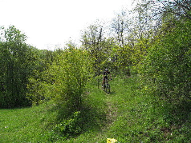 IMG_4865_resize.JPG