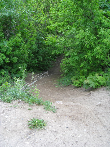 IMG_4883_resize.JPG