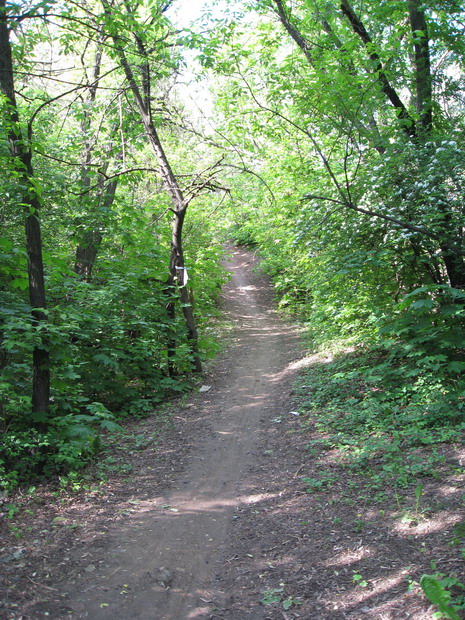 IMG_4881_resize.JPG