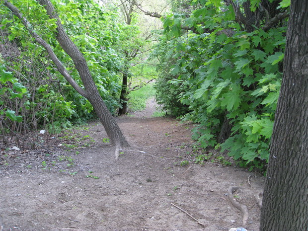 IMG_4887_resize.JPG