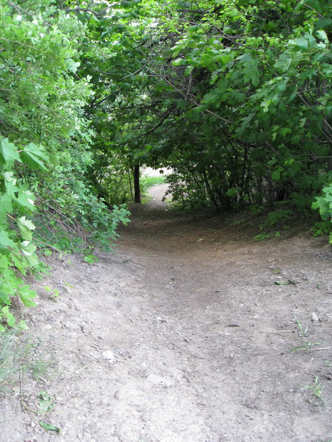 IMG_4886_resize.JPG