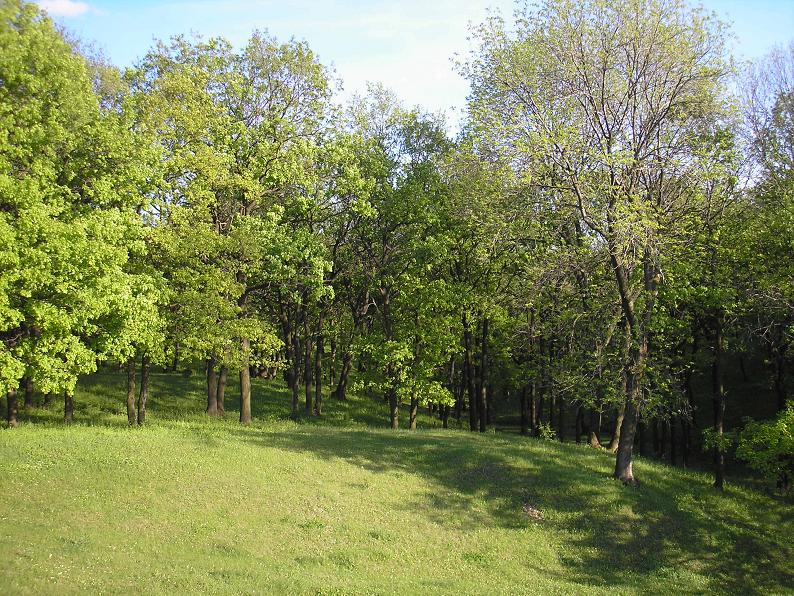 P5160003.JPG