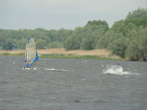 pic5.jpg
