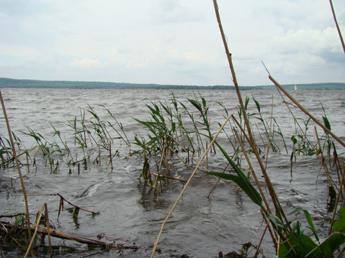 pic8.jpg