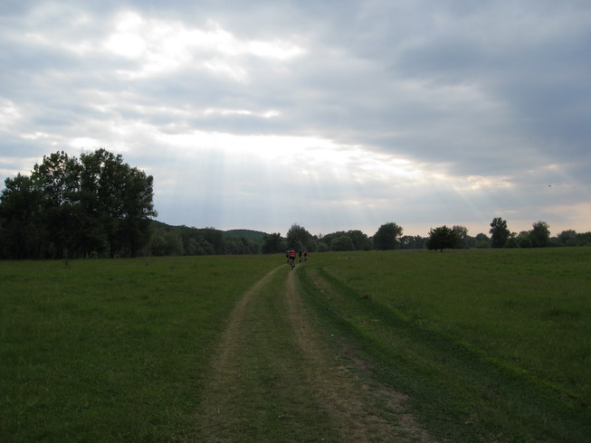 IMG_5013_resize.JPG