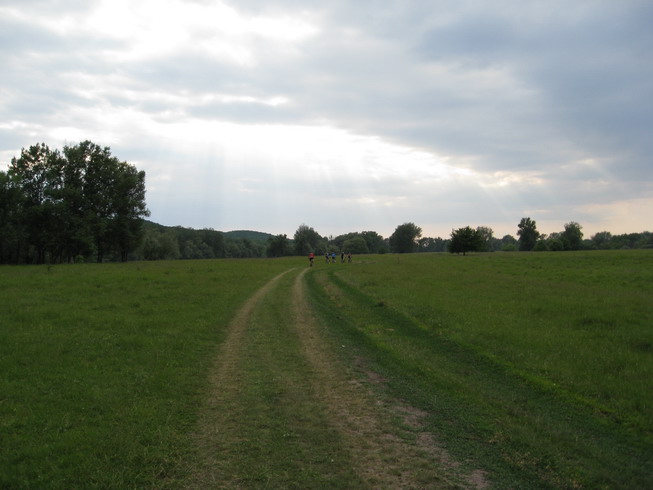 IMG_5014_resize.JPG