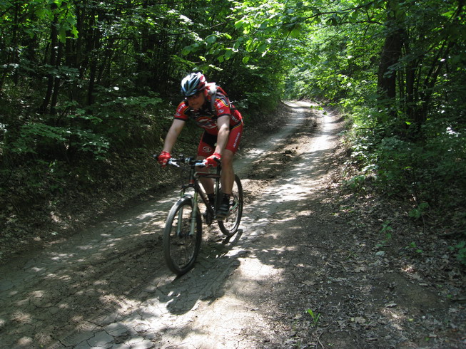 IMG_5059_resize.JPG