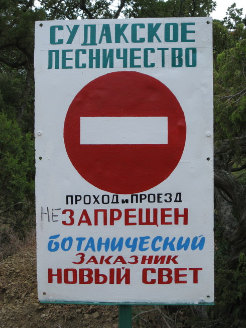 IMG_5168_resize.JPG