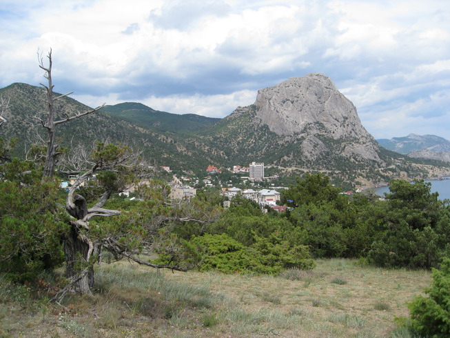 IMG_5187_resize.JPG