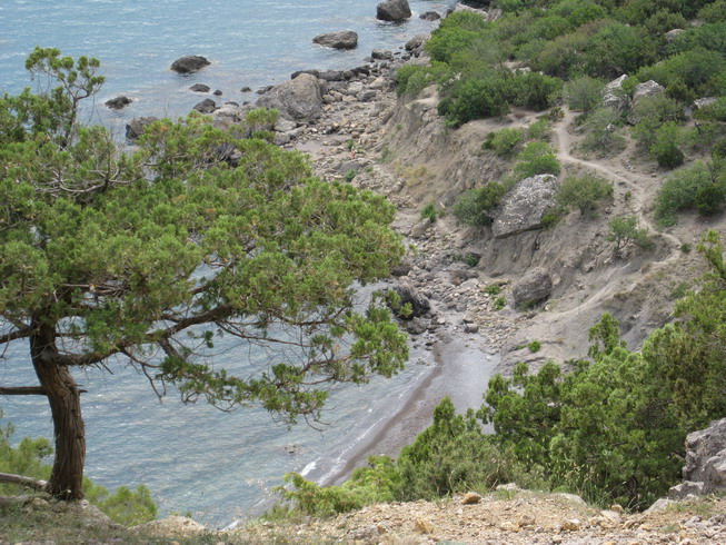 IMG_5184_resize.JPG