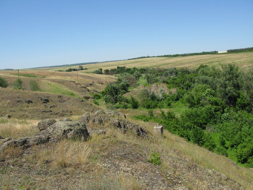 IMG_4679.jpg