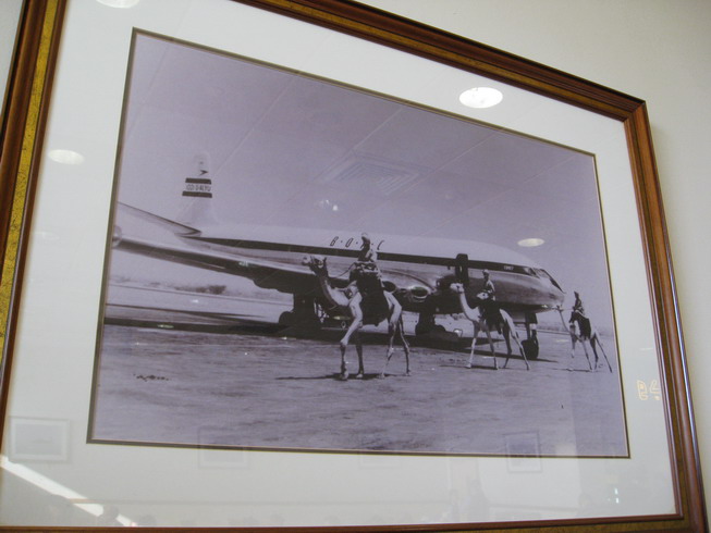 IMG_0096_resize.JPG