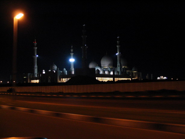 IMG_2878_resize.JPG