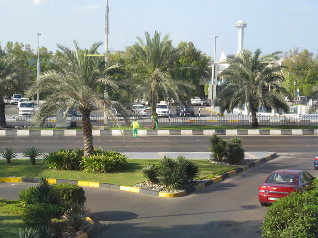 IMG_0044_resize.JPG