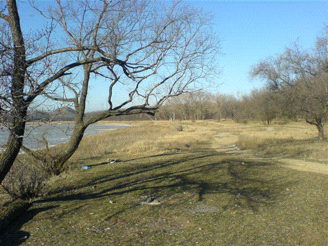 DSC07440.GIF